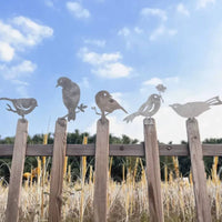 5 Pieces Metal Bird Outline Painted Finish Bird Cutout Set Nature-Inspired