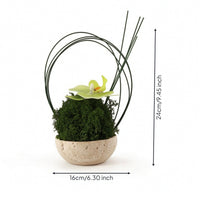 Artificial Plant with Stone Bowl Sculptural Artificial Flower Arrangement Simple Care Decor for Desk, Coffee Table