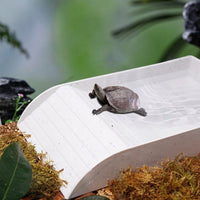 Large Turtle Basking Perch and Tortoise Bathing Pool, Textured Ramp Basin for Large Reptiles, Feeding and Soaking Dish