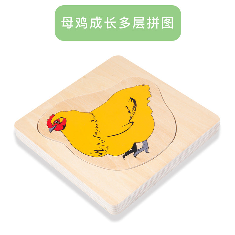 Hen