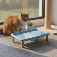 Raised Cat Food and Water Bowls Easy to Clean for Small Dogs