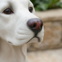 Labrador Sculpture Detailed Coat Texture Sitting Dog Figurine Decorative Garden Decoration for Home