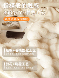 轻奢兔毛绒毛毯长毛办公室披肩小毯子冬季午睡毯沙发毯高级感盖毯 100x160cm【双面加厚50% 手感绵密 防静电】 加柔升级款-科伦娜-雾粉【A类母婴级 全面升级 更柔更软】