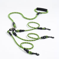 Multi-Head Detachable Dog Leash for One to Three Dogs, Polyester