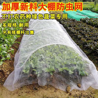 种菜防虫网种菜 农用防虫网农用蔬菜防虫网大棚地种菜专用网 纱网 2.5米宽5米长60目防虫网