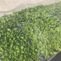 种菜防虫网种菜 农用防虫网农用蔬菜防虫网大棚地种菜专用网 纱网 2.5米宽5米长60目防虫网