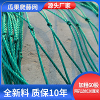 爬藤网瓜果网百香果网葡萄园网种植网大棚网吊瓜网豆角网西瓜网 60股20厘米8米宽10米长(送绳子）