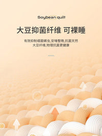 五星级酒店同款大豆纤维被子秋冬被保暖抑菌被芯夏季凉被四季通用