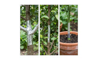 2 Pieces Shiny Tree Wrap with Adhesive Backing Smooth Tree Trunk Wrap Sticky Foil Tape with Adhesive Tacky for Orchards