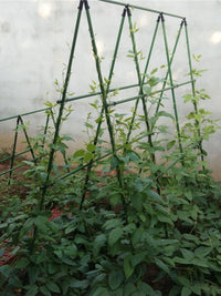 爬藤架种菜架子园艺花架花园阳台花爬架植物豆角黄瓜架葡萄架户外 16粗 长150*高180 5横8竖（送爬藤网） 中等
