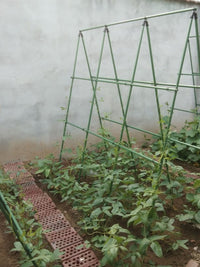 爬藤架种菜架子园艺花架花园阳台花爬架植物豆角黄瓜架葡萄架户外 16粗 长150*高180 5横8竖（送爬藤网） 中等