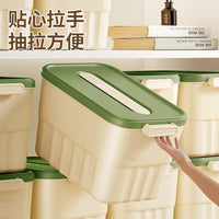 多巴胺桌面收纳盒带盖零食筐玩具整理盒大容量储物箱密封长方形