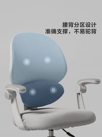 林氏家居儿童学习椅子座椅学生家用写字椅书桌椅凳子靠背椅电脑椅 【灰色布套|灰色】LS524W1-A儿童学习椅