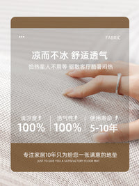 地毯客厅2025新款轻奢高级冰丝凉席免洗可擦夏季榻榻米地垫免打理 枕畔-15735 200*300cm【毯面光滑无刺】