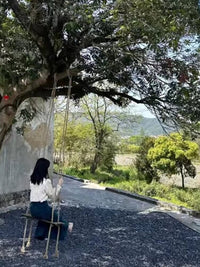 蘑菇小匠挂树上的秋千户外树秋千悬吊木头秋千网红打卡拍照区布置