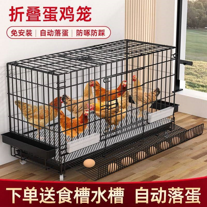 鸡笼子家用室外大号小鸡笼自动清粪母鸡下蛋家用室内养鸡鸭窝防雨 笼子+防雨布+食槽+水槽+脚垫+接粪盘 【带蛋托长100*宽60*高70】+天窗+底部支撑（8-10只）