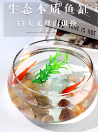 金鱼缸玻璃圆形办公桌客厅水培家用小鱼缸透明小型迷你造景乌龟缸 20龟缸送六件礼品 含彩石