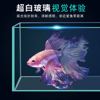 鱼缸超白鱼缸玻璃桌面客厅生态斗鱼金鱼乌龟缸造景懒人养鱼玻璃缸 50裸缸送莫斯树+灯+过滤器+雨淋沙+青龙石+水草泥