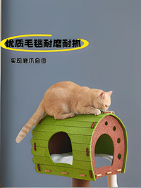 猫爬架猫树一体多层猫树洞四季款家用不占地磨爪猫抓柱太空舱猫窝 （品质款）丛林乐园猫爬架