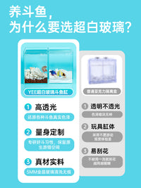 斗鱼缸造景超白斗鱼缸水网红斗鱼缸排缸家用小型泰国斗鱼专用鱼缸
