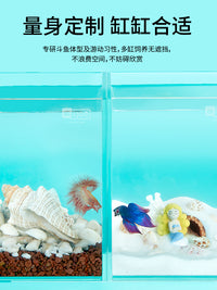 斗鱼缸造景超白斗鱼缸水网红斗鱼缸排缸家用小型泰国斗鱼专用鱼缸