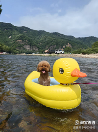 婴幼儿水上浮床儿童游泳圈宠物小船浮排气垫充气游泳池海洋球池 【海盗船】充气底+手泵合适110斤内