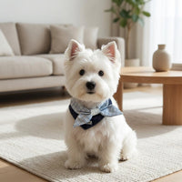 Dog Bandana, Pointed Bib Dog Scarf with Decorative Knot, Universal Pet Handkerchief universal Seasons, Plaid Design
