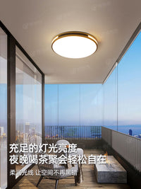 别墅大门口吸顶灯农村自建房庭院屋檐入户门阳台室外防潮防虫灯具 【防潮防虫】圆/36W/40cm/三色变光