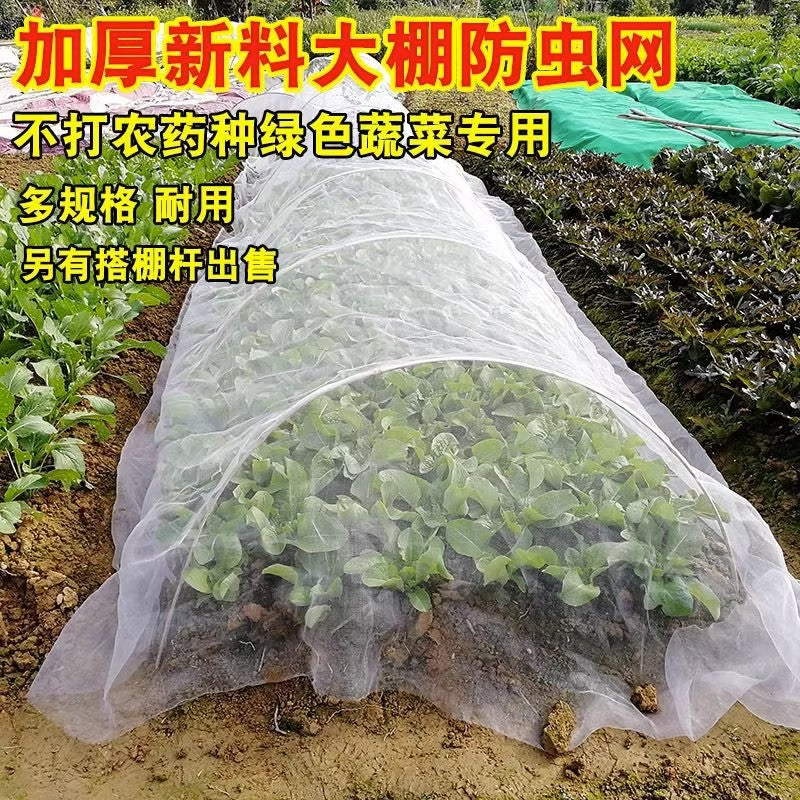 种菜防虫网种菜 农用防虫网农用蔬菜防虫网大棚地种菜专用网 纱网 2.5米宽5米长60目防虫网
