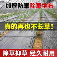 防草布除草布耐用园艺地布盖草抑草地膜透气保湿果树果园抗老化