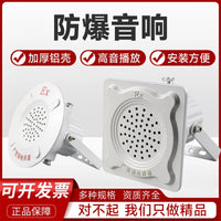 防爆音响消防扬声器喇叭扩音音箱带功放喊话号角壁挂吸顶5W10W20W 20W防爆喇叭带功放（报警声音）