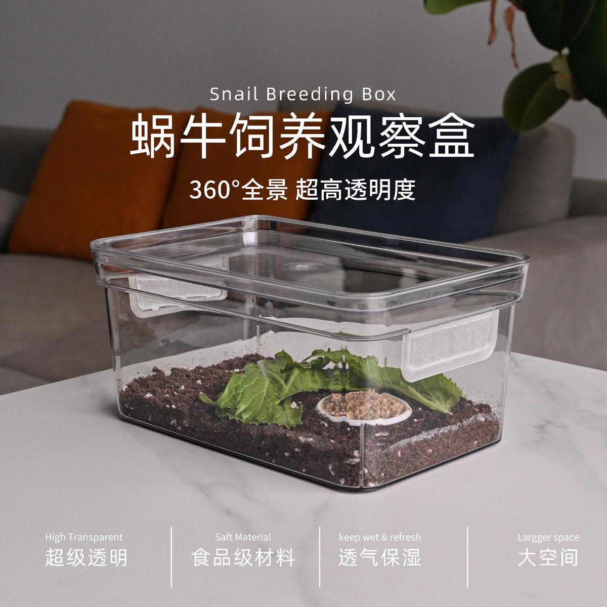 蜗牛饲养盒蜗牛生态缸白玉蜗牛饲养盒蜗牛专用饲养盒蜗牛饲养套装
