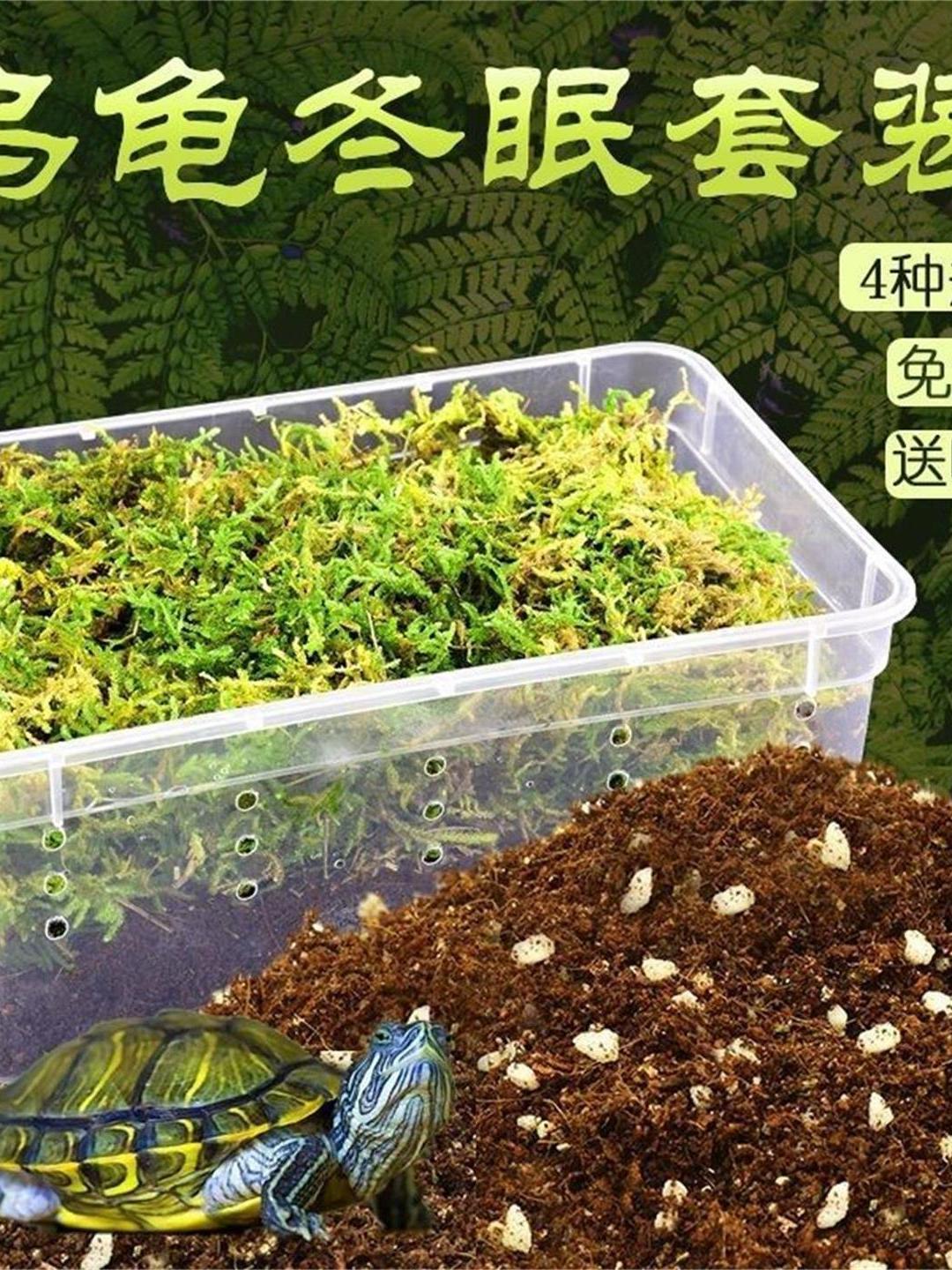 乌龟冬眠套装龟过冬椰土苔藓草沙土垫材乌龟保温饲养箱乌龟冬眠箱