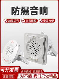 防爆音响消防扬声器喇叭扩音音箱带功放喊话号角壁挂吸顶5W10W20W 20W防爆喇叭带功放（报警声音）