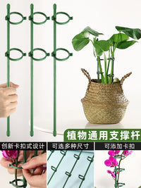 龟背竹支撑杆植物园艺固定神器花支架金钱树绿植花卉防倒伏花架