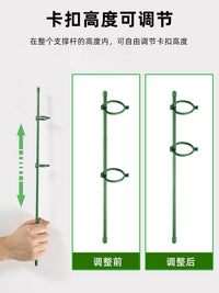 龟背竹支撑杆植物园艺固定神器花支架金钱树绿植花卉防倒伏花架