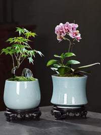 特价陶瓷古韵小型花盆盆景创意文竹简约绿萝兰花菖蒲多肉盆栽带托