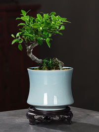 特价陶瓷古韵小型花盆盆景创意文竹简约绿萝兰花菖蒲多肉盆栽带托