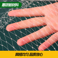 Bird Netting for Orchard Protection, Fish Pond Cover, and Garden Fencing - High Strength Anti-Bird Net