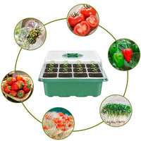 12-Cell Plastic Seedling Tray Kit with Humidity Dome - 3 Pack Seed Starter Trays for Succulents and Cuttings
