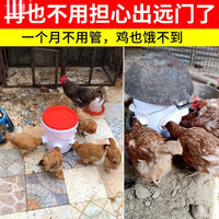 Automatic Poultry Feeder Kit Anti-Bird Chicken Duck Goose Feeder Bucket for Farm Animals