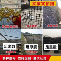 Plastic Poultry Fencing Netting for Balcony Protection, Isolation, Chicken, Duck, Peacock Enclosure, and Manure Leakage Prevention