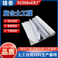 Geocomposite Geomembrane for Water Conservancy, River Management, Reservoir Anti-seepage, and Civil Engineering