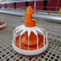 Automatic Chicken Feeding and Watering System for Poultry Farms - Complete Set of Feeders and Drinkers