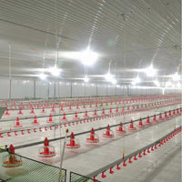 Automatic Chicken Feeding and Watering System for Poultry Farms - Complete Set of Feeders and Drinkers