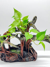 Aquarium Landscaping Resin Hiding Cave Simulation Bark Hole for Fish Shrimp Reptiles Hermit Crabs