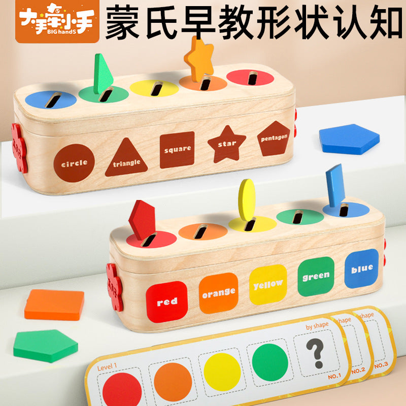 Montessori Geometric Shape and Color Sorting Educational Toy for Kids - Coin Matching Cognitive Puzzle Blocks