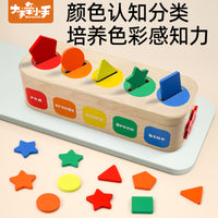 Montessori Geometric Shape and Color Sorting Educational Toy for Kids - Coin Matching Cognitive Puzzle Blocks