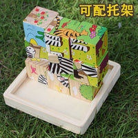 Wooden 3D Puzzle Jigsaw for Kids - Educational Preschool Toy and Birthday Gift - Six-Sided Picture Blocks
