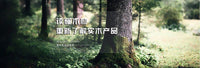 实木笔架子笔台木质架托笔托钢笔台学生办公底座创意收纳搁笔托插